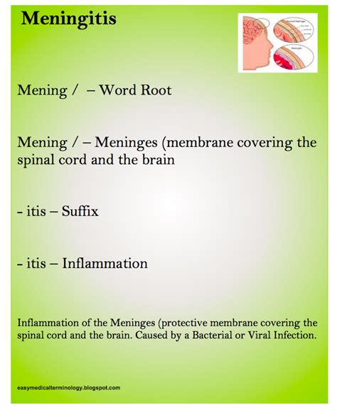 medical terminology for meningitis